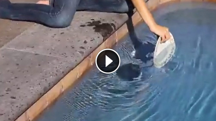 She Drags a Plate Across The Water. What Happens Next Is Science At Its