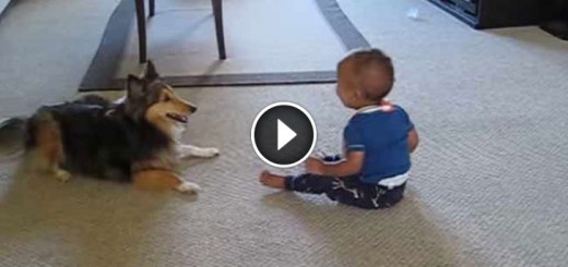 Excited dog makes baby laugh!