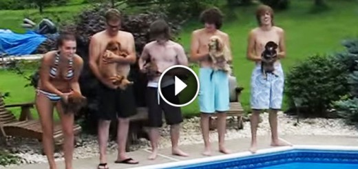 dachshund water race