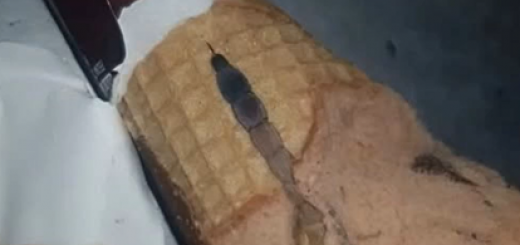 Ice Cream Taught Me a Beautiful Life Lesson